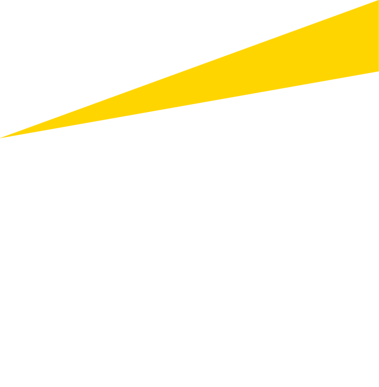 Solicitud de Empleo Mexico-EYS
